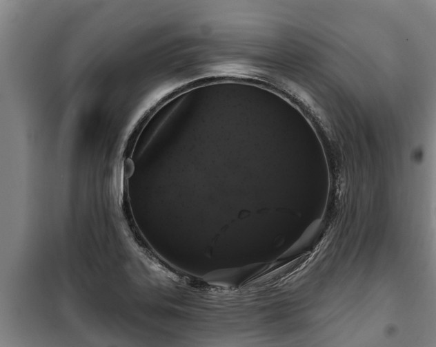 X0000100201323200806061313