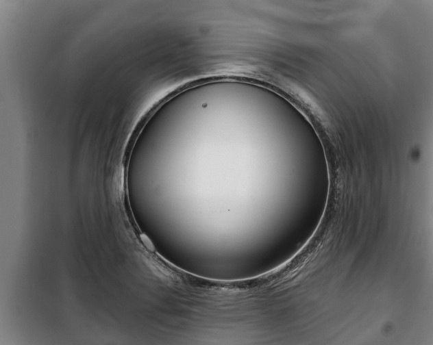 X0000100201324200806061313