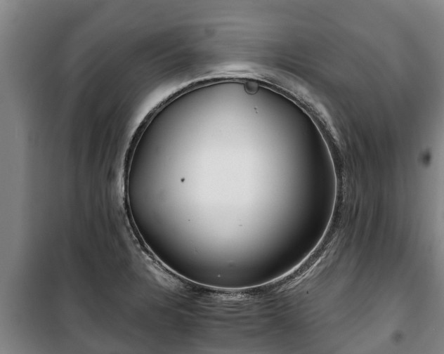 X0000100201328200806061313