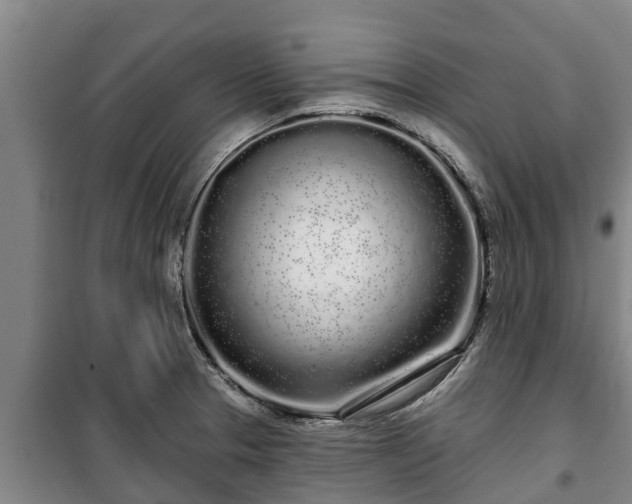 X0000100201329200806061313