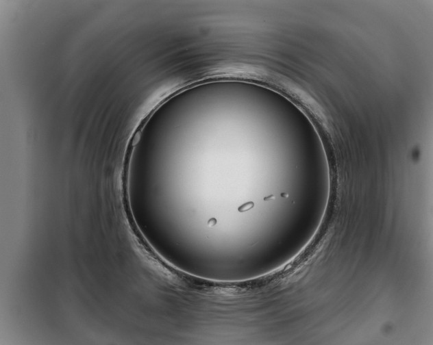 X0000100201330200806061313