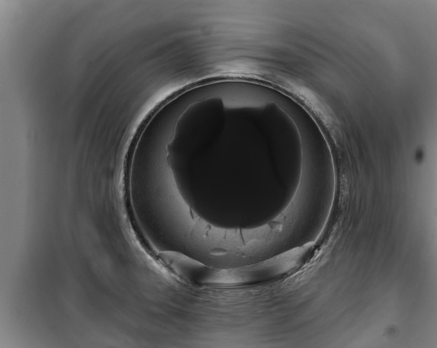 X0000100201331200806061313