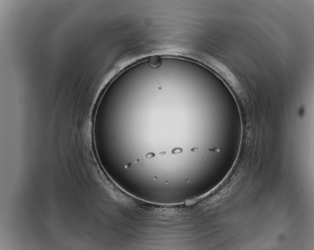 X0000100201332200806061313