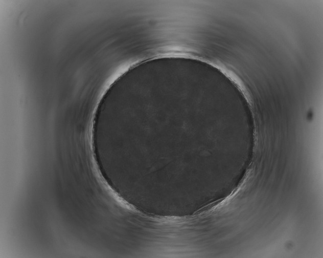 X0000100201333200806061313