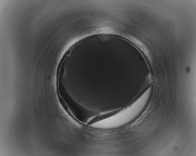 X0000100201334200806061313