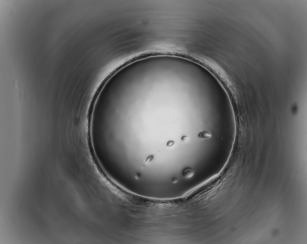 X0000100201335200806061313