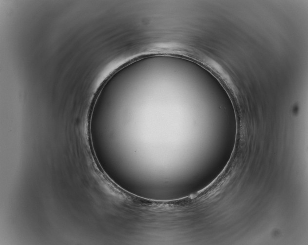 X0000100201336200806061313