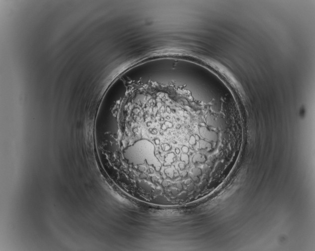 X0000100201337200806061313