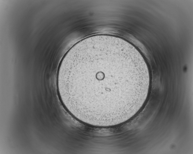 X0000100201338200806061313