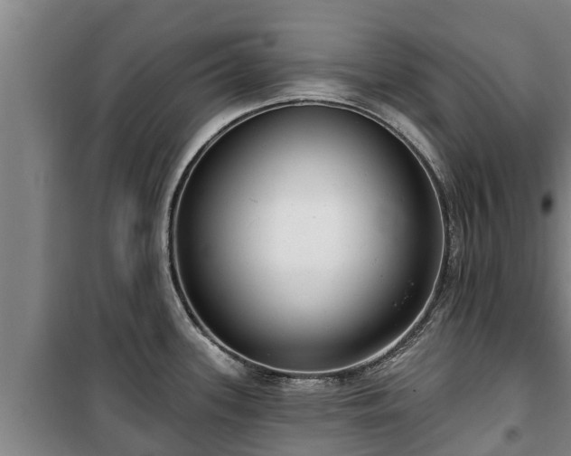 X0000100201339200806061313