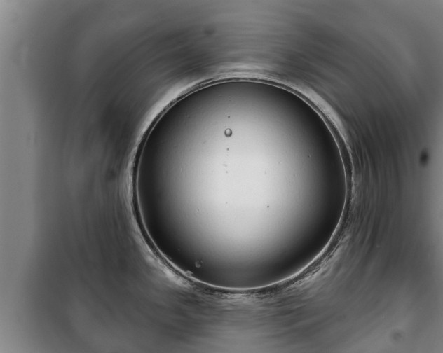 X0000100201341200806061313