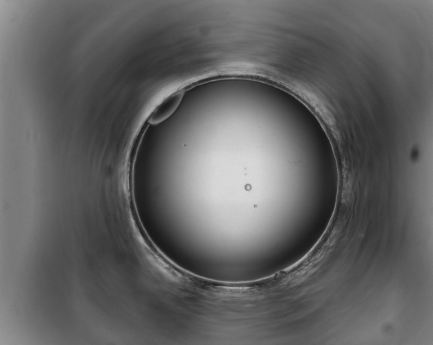 X0000100201342200806061313