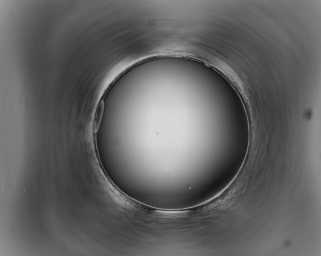 X0000100201344200806061313