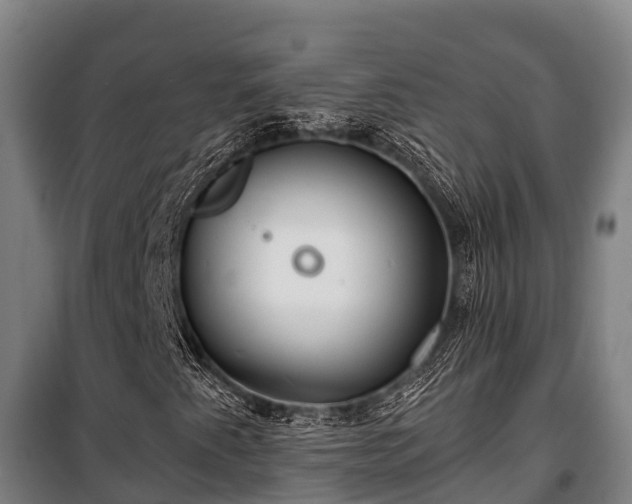 X0000100201345200806061312