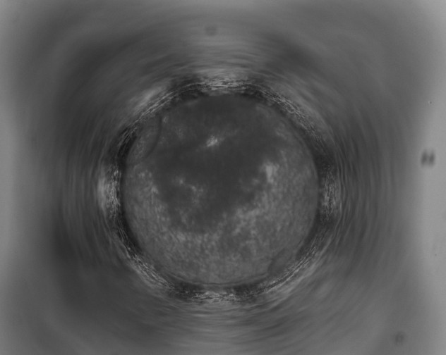 X0000100201346200806061312