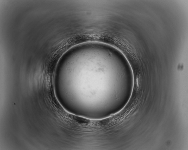 X0000100201347200806061312