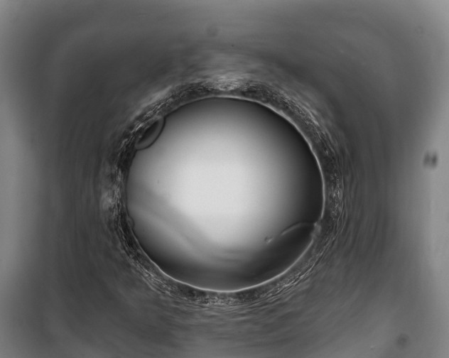 X0000100201349200806061312