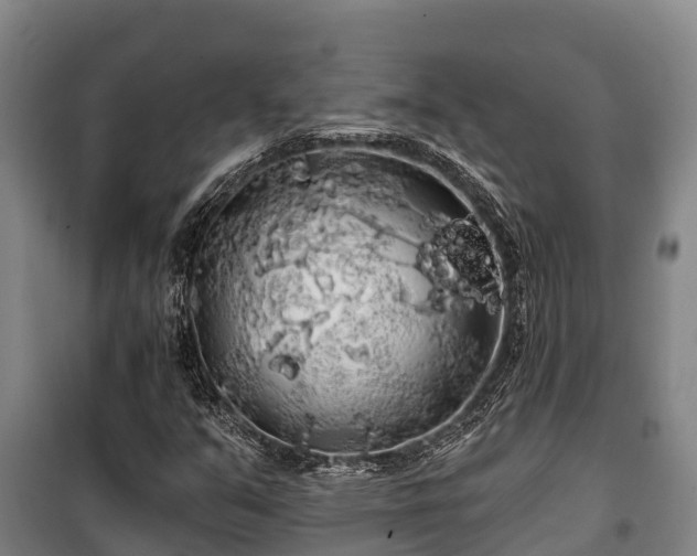 X0000100201351200806061312