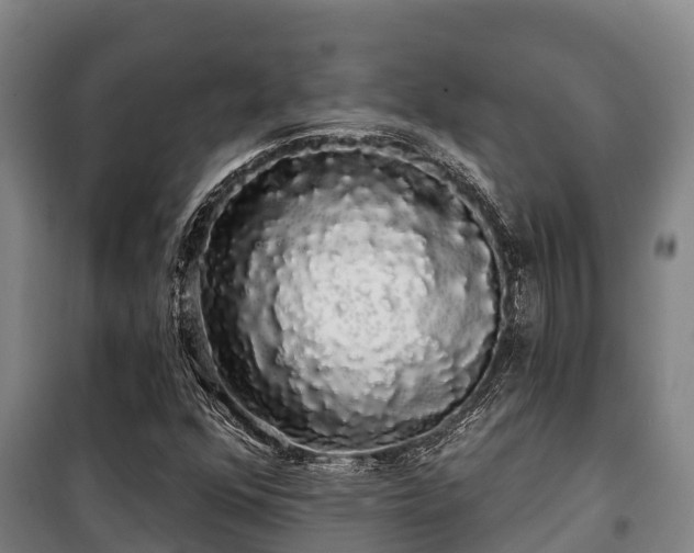 X0000100201352200806061312