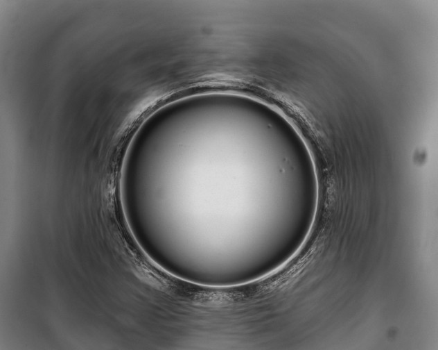 X0000100201355200806061312