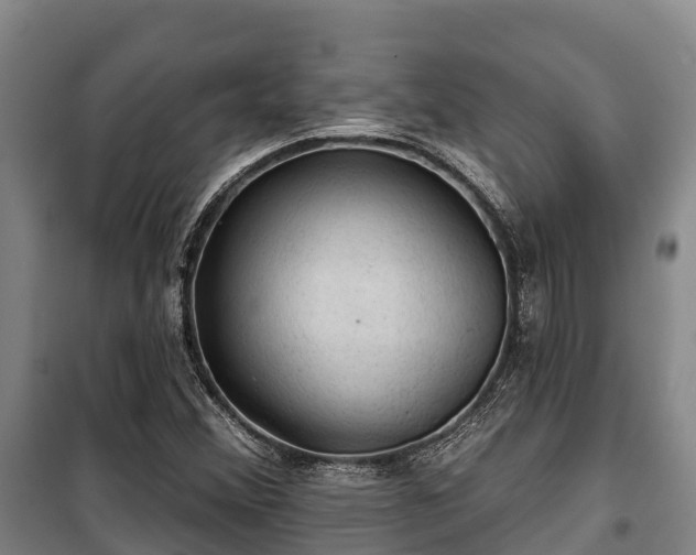 X0000100201356200806061312