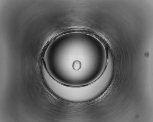 X0000100201357200806061312