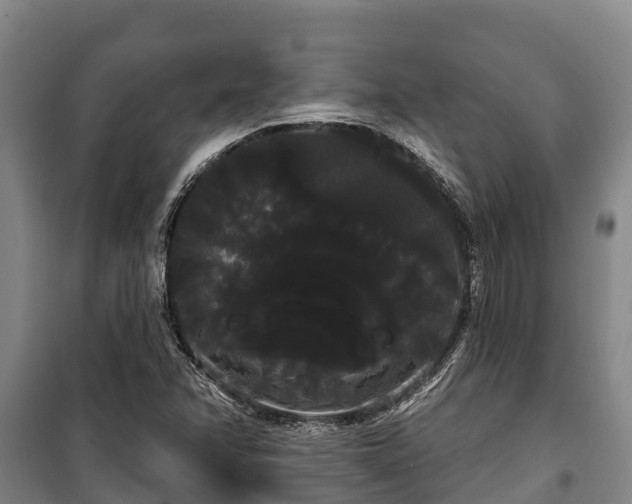 X0000100201358200806061312