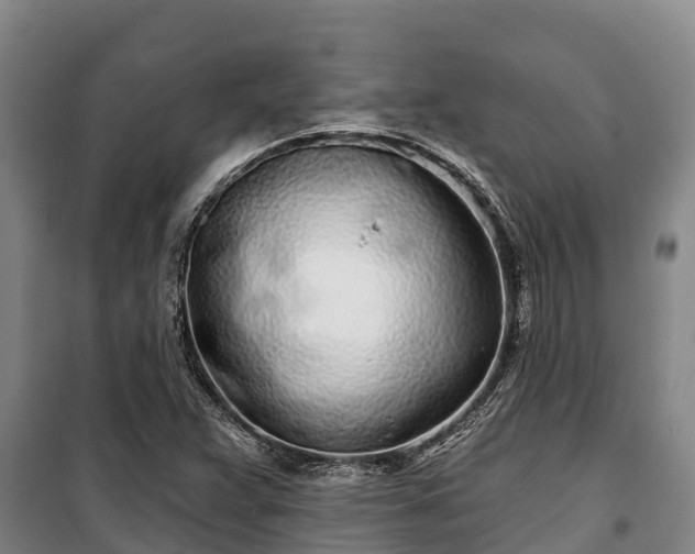 X0000100201359200806061312