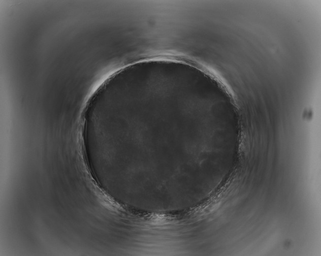 X0000100201360200806061312