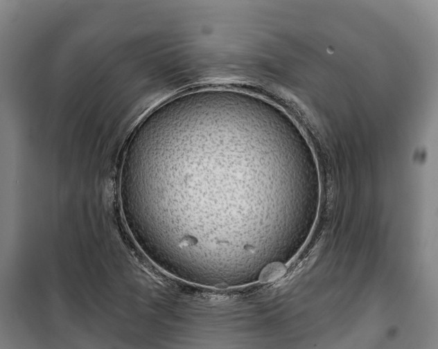 X0000100201361200806061312