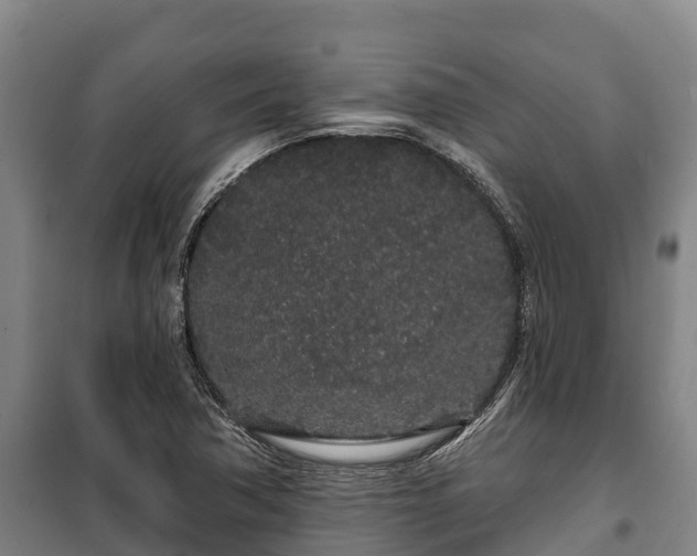 X0000100201362200806061312