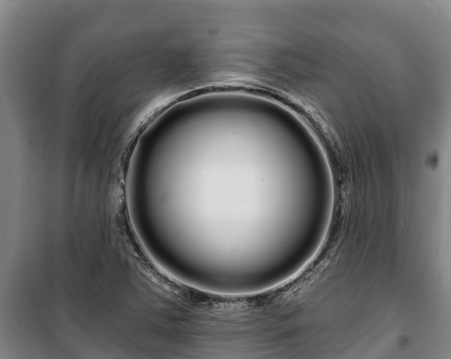 X0000100201363200806061312