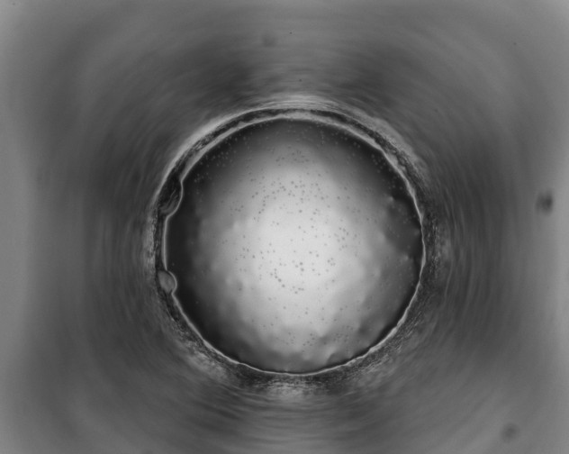 X0000100201364200806061312