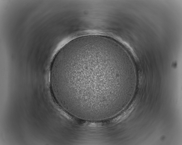 X0000100201365200806061312