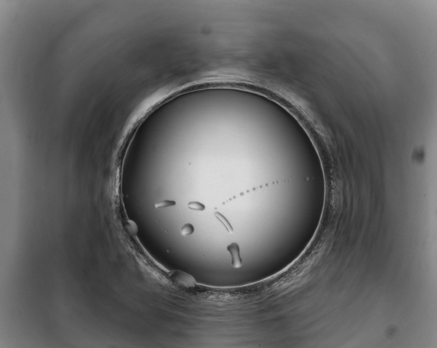 X0000100201366200806061312