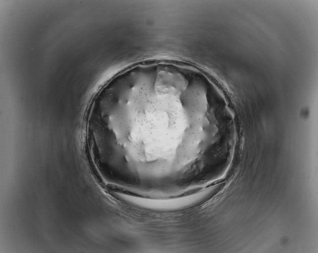 X0000100201367200806061312