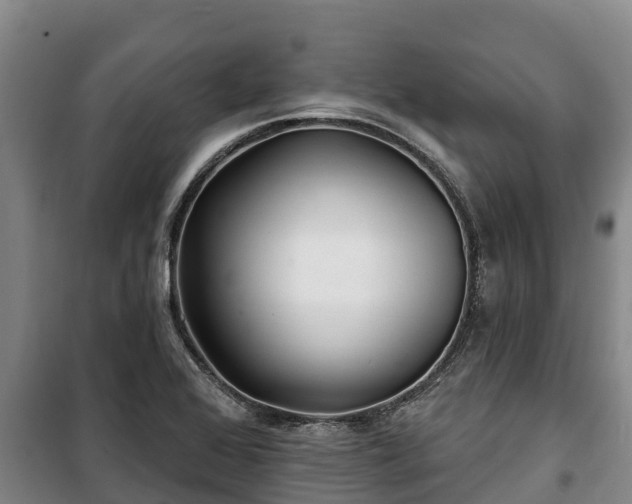 X0000100201368200806061312