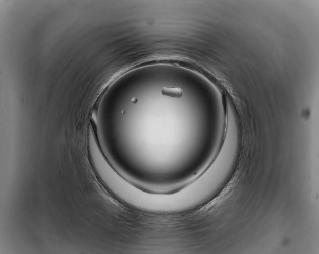 X0000100201369200806061312