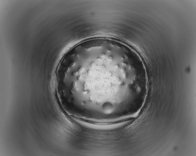 X0000100201371200806061312