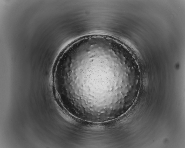 X0000100201372200806061312