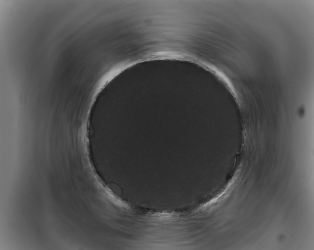 X0000100201373200806061312