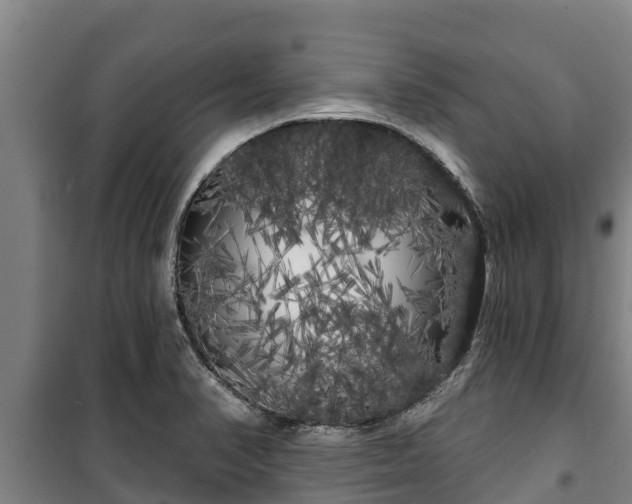 X0000100201374200806061312