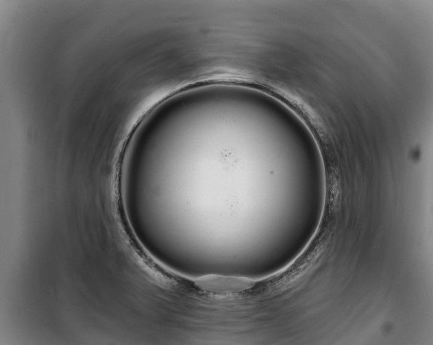 X0000100201375200806061312