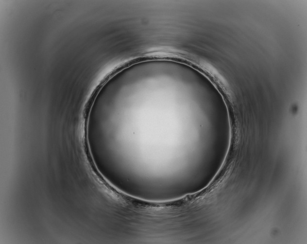 X0000100201376200806061312