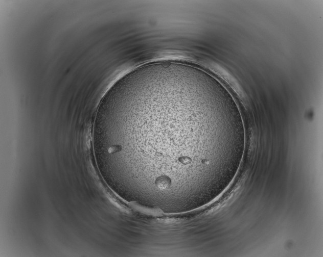 X0000100201377200806061312