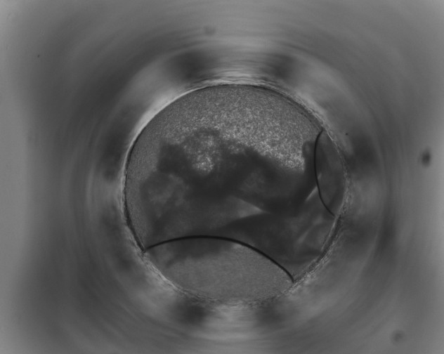 X0000100201378200806061312