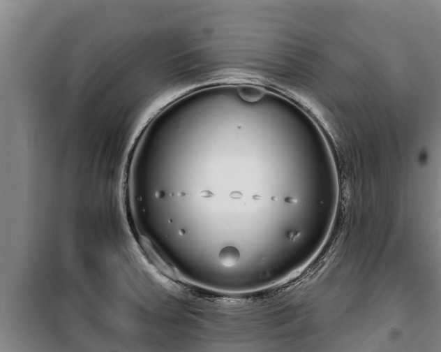 X0000100201379200806061312