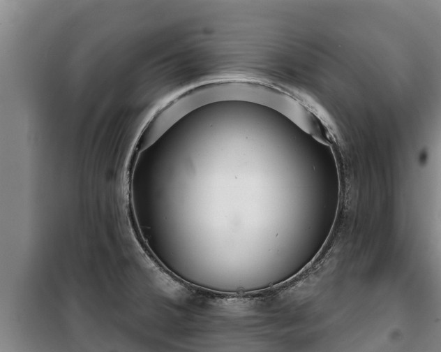 X0000100201380200806061312