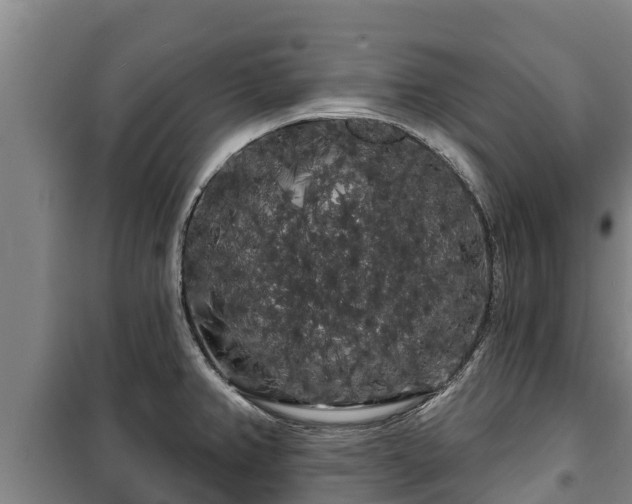 X0000100201382200806061312