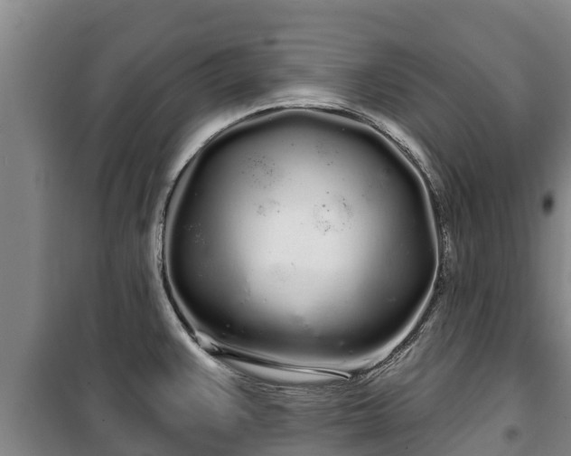 X0000100201383200806061312